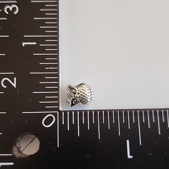 SMART Eyeglass Owl Bracelet Charm Compatable With Pandora - Picture 2 of 5